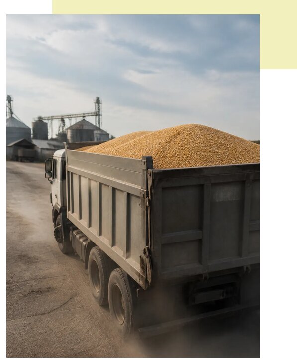 Перевозка сельхозпродукции навалом в Ульяновск по цене от 3086 р. | Агросервис-Улн